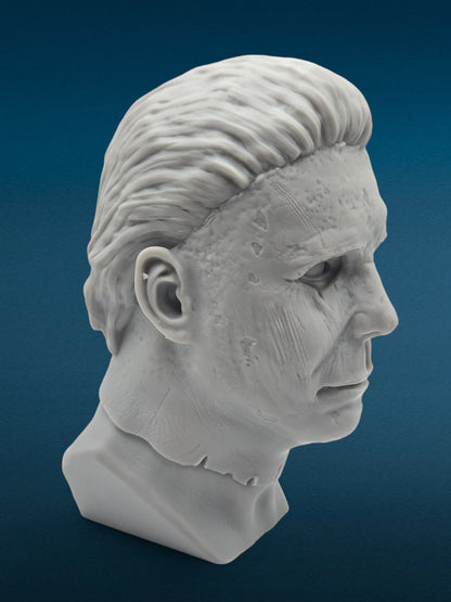 3D Resin Figurine - Michael Myers Bust