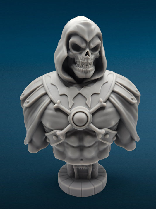 3D Resin Figurine - Skeletor Bust