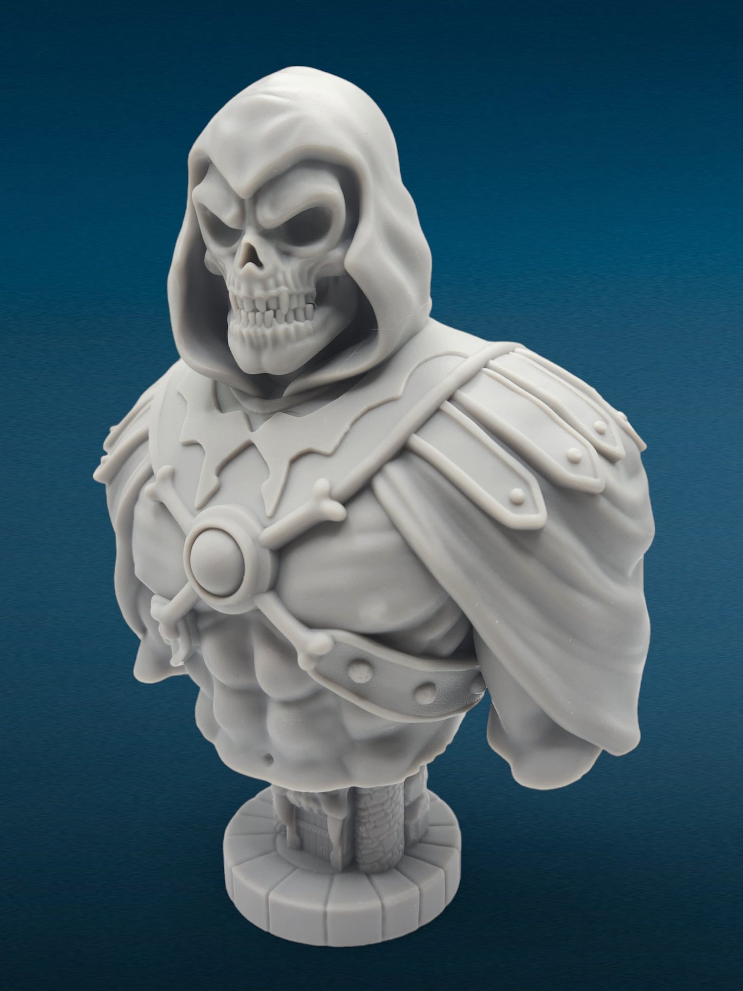 3D Resin Figurine - Skeletor Bust