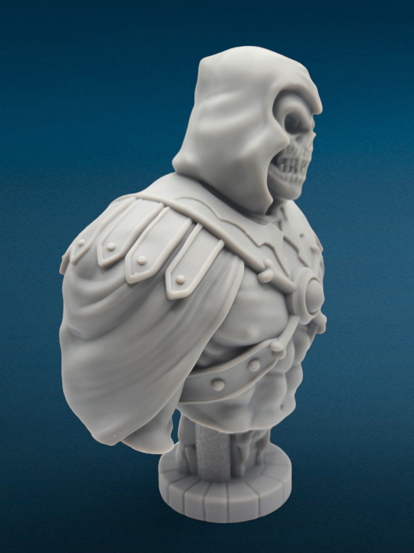 3D Resin Figurine - Skeletor Bust