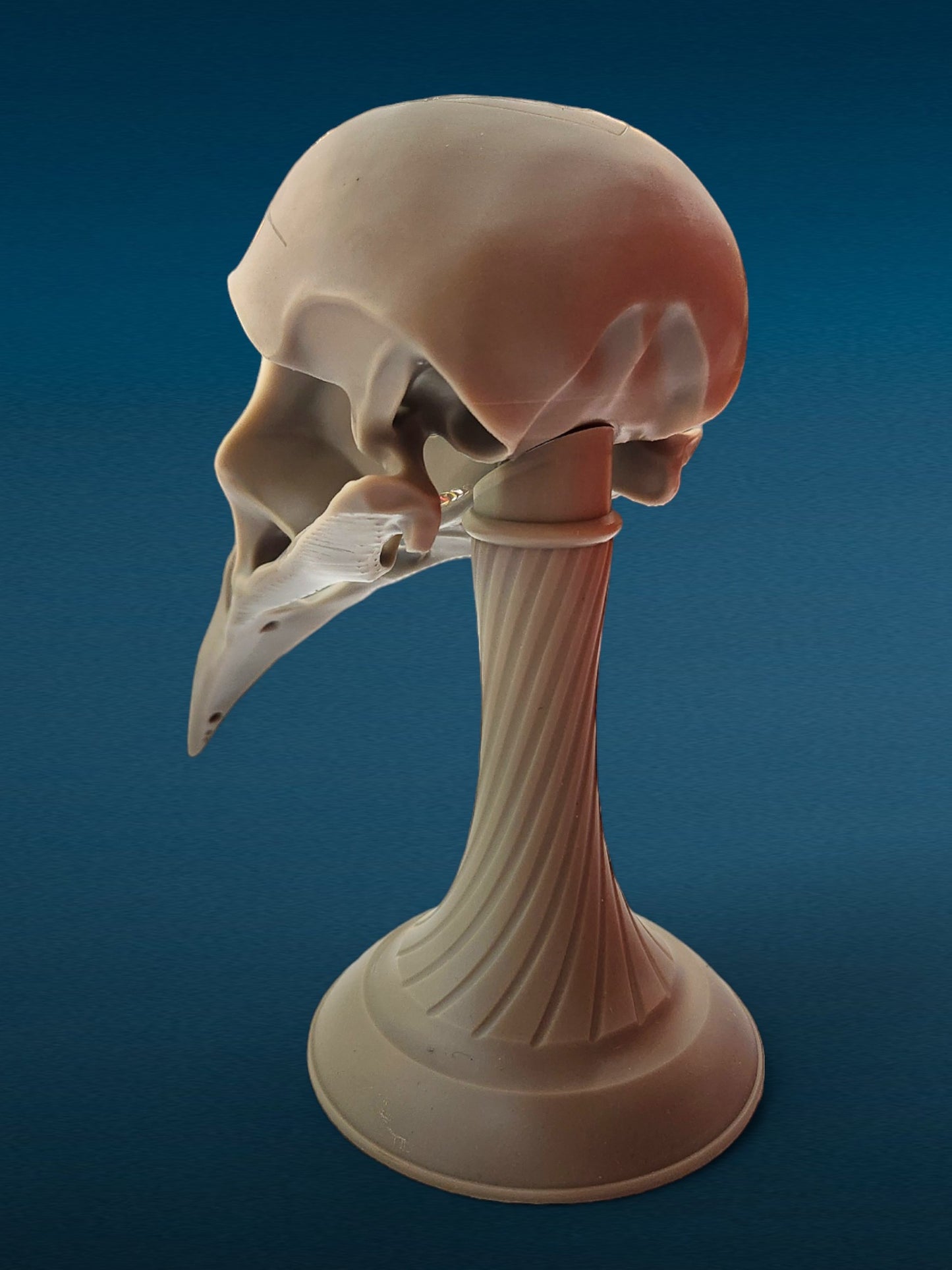 3D Fantasy Resin - The Crow